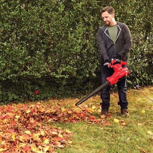 Fhma24 Craftsman Backpack Leaf Blower Ft 01 Stedit