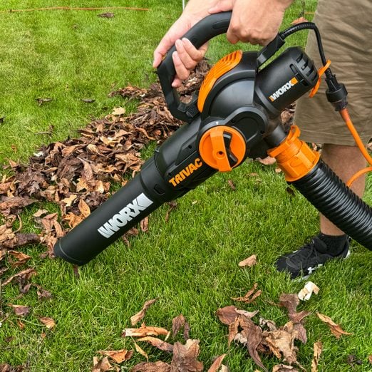 Worx Leaf Vacuum