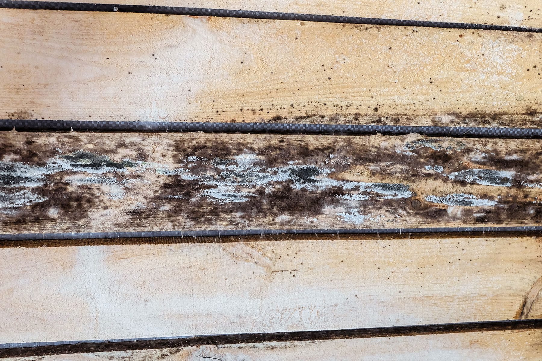 How To Get Rid of Mold on Unfinished Wood