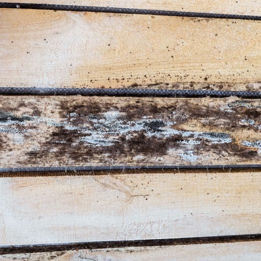 How To Get Rid Of Mold On Unfinished Wood Gettyimages 1075599662 Ft
